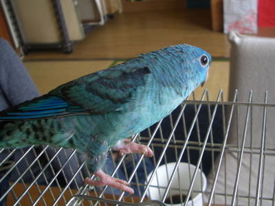 05