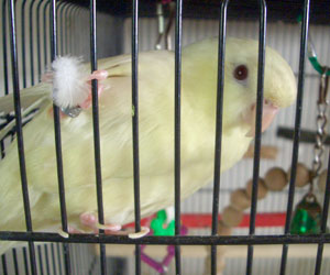 09