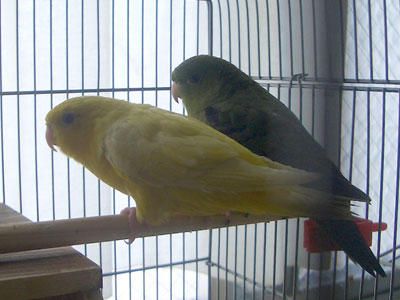 09