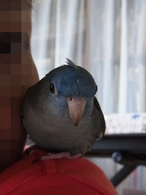 06