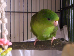 07