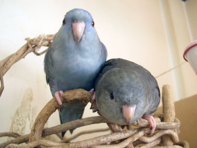 05