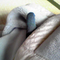 ぬの03