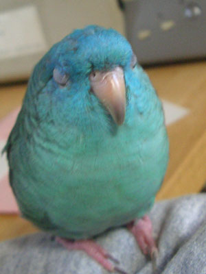 09