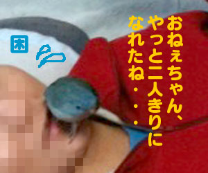 omake2