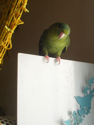 05