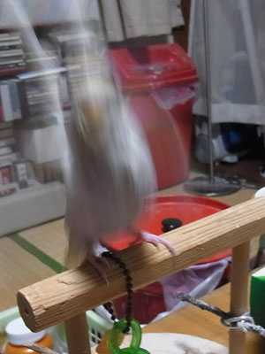 04