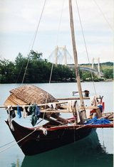 c826b49a.jpg