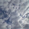 P252iS0009437552.jpg