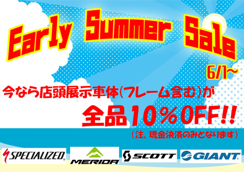 earry summer sale