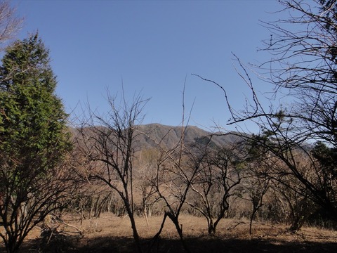 DSC06781_R