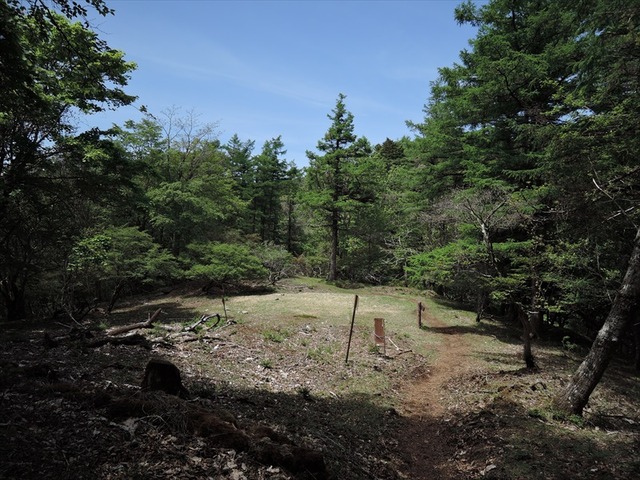 DSCN1843_R