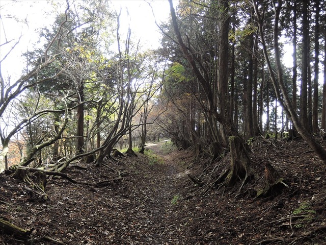 DSCN6364_R