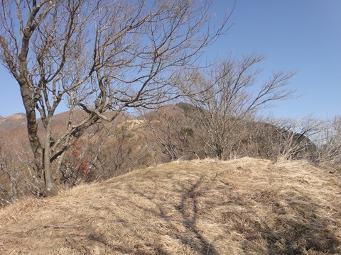 DSC03152_R