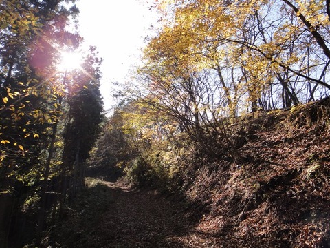 DSC05720