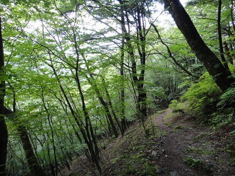 DSC04437