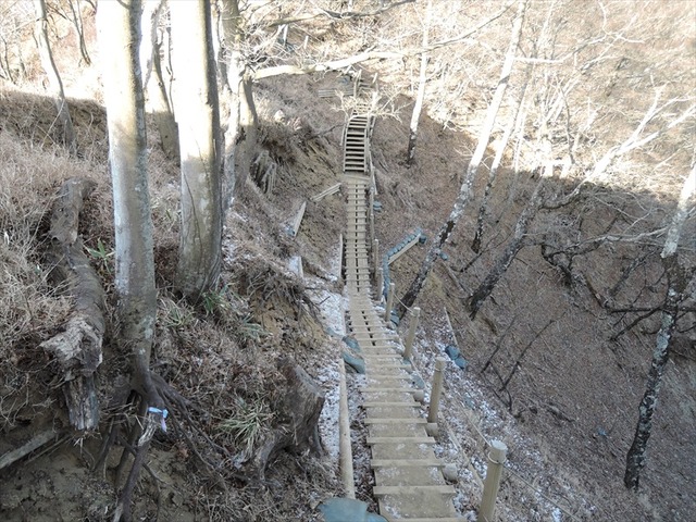 DSCN8517_R