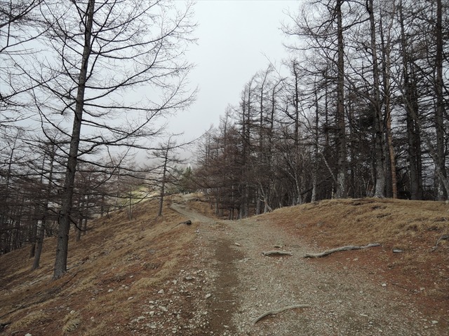 DSCN9236_R