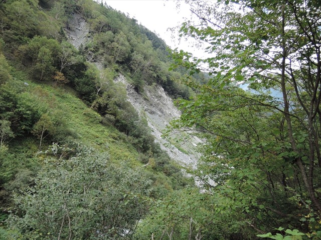 DSCN8995_R