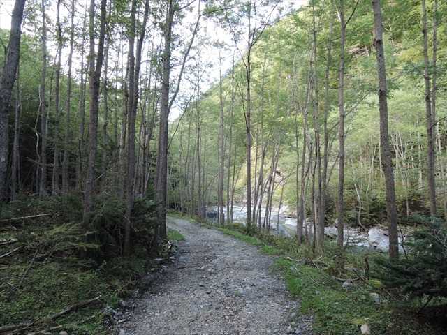 DSCN8850_R