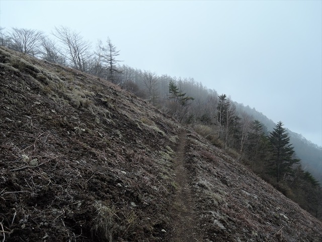 DSCN1446_R