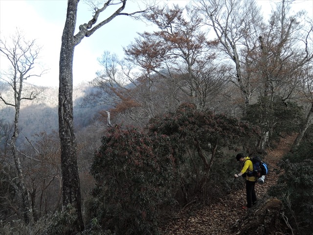 DSCN9228_R