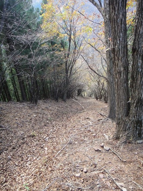 DSC05737