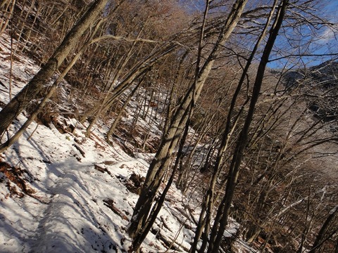 DSC05918_R