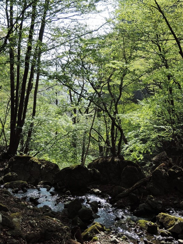 DSCN1525_R
