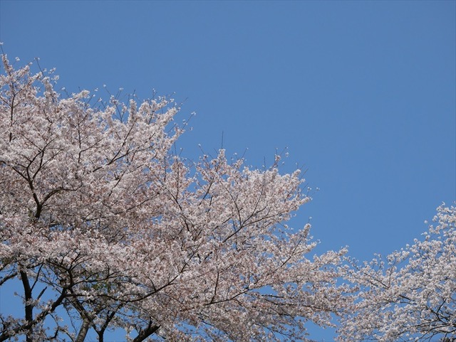 P1030190_R