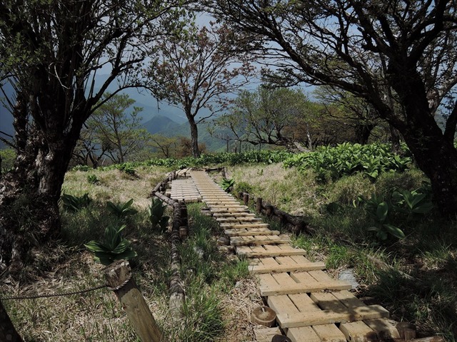 DSCN1827_R