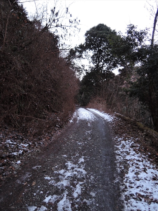DSCN0097_R