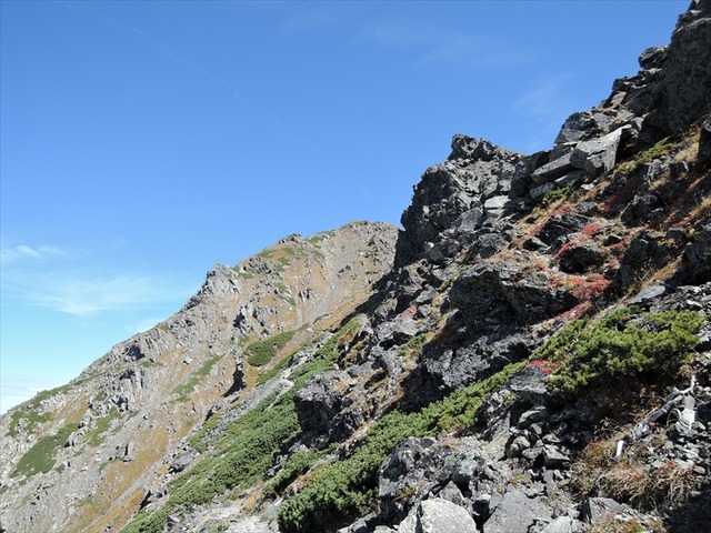 DSCN8961_R