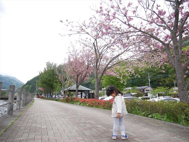 P1030367_R