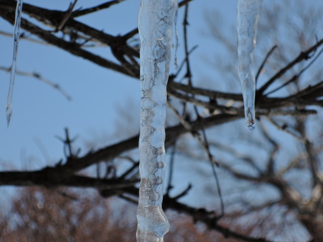 DSCN7186