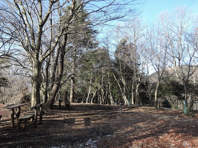 DSCN0129_R