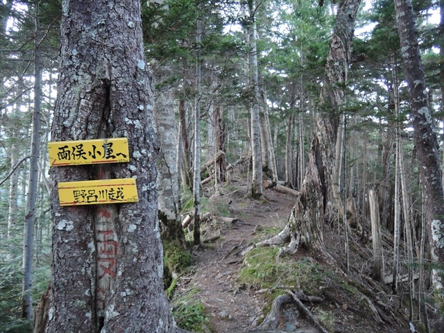 DSCN8890_R