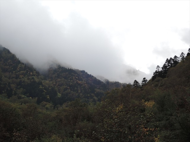 DSCN8994_R