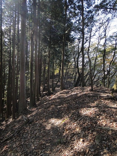 DSC05705