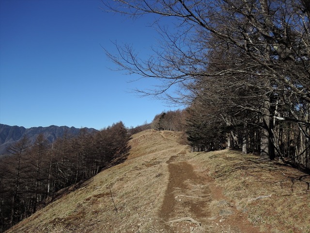 DSCN6493_R