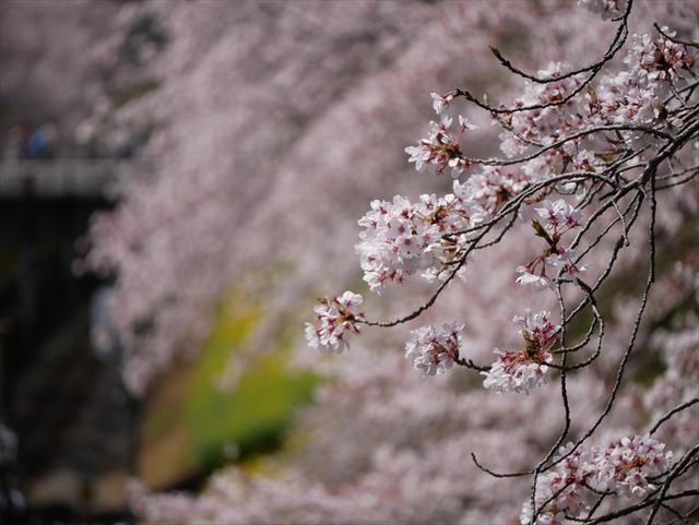 P1030260_R