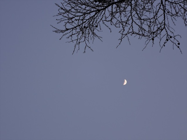 DSCN1454_R
