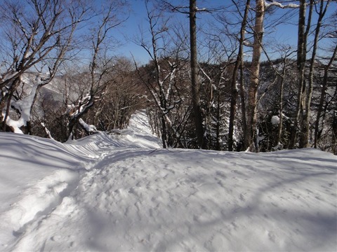 DSC05964