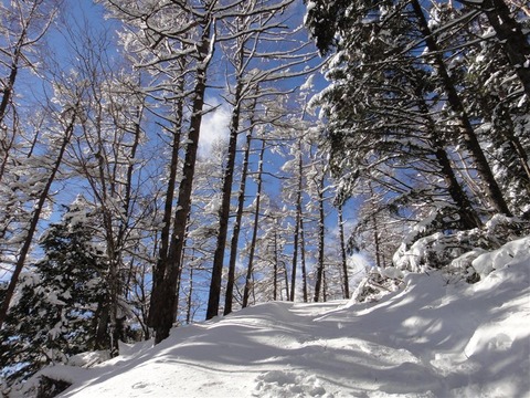 DSC05966