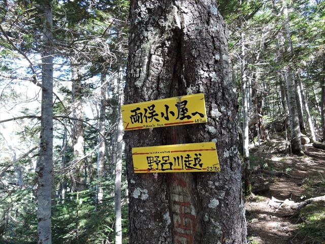 DSCN8842_R