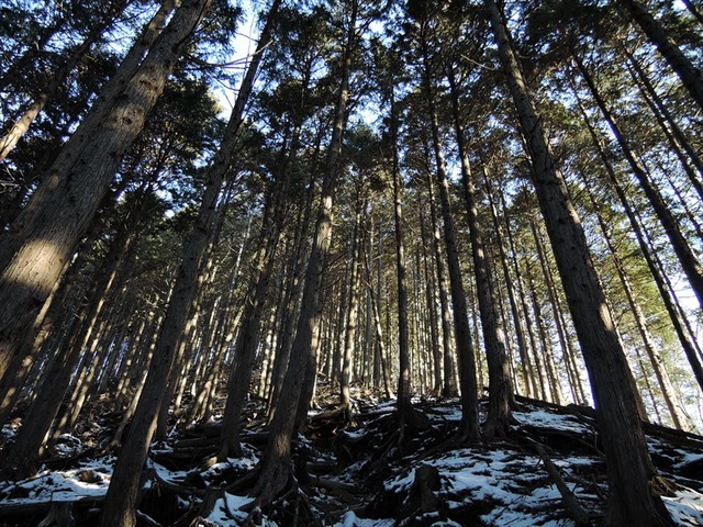 DSCN0227_R