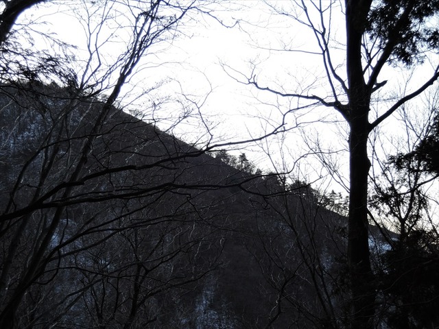 DSCN0220_R