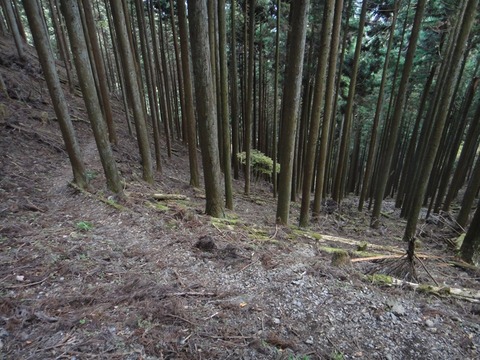 DSC05767_R