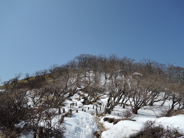 DSCN7195