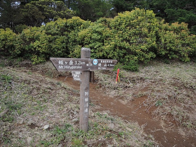 DSCN1846_R